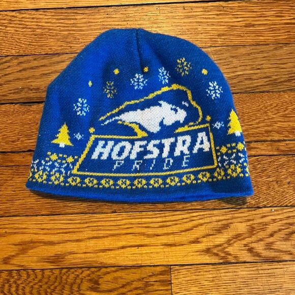 Y2K Hofstra Beanie‎ - Picture 1 of 1